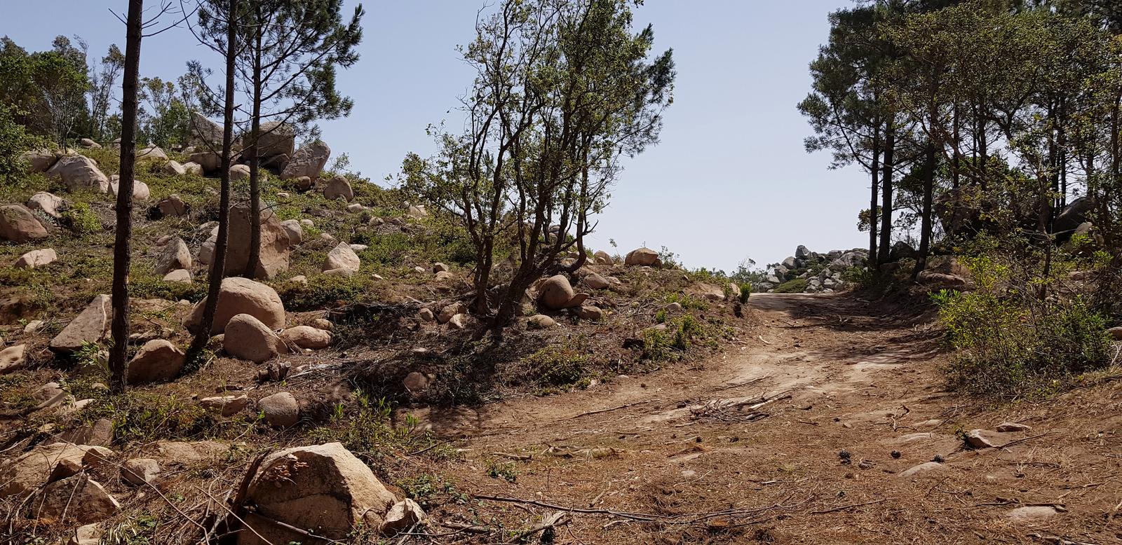 Pedra Amarela Viewpoint